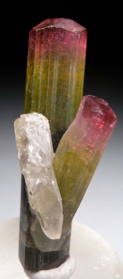 Tourmaline with Quartz (R) from Himalaya Mine, Mesa Grande, San Diego Co., California, USA [db_pics/pics/lp605c.jpg]