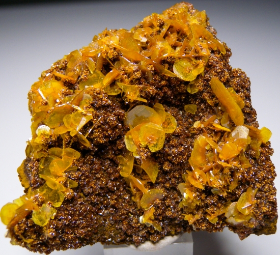 Wulfenite on Descloisite from Los Lamentos, Chihuahua, Mexico [db_pics/pics/lp653a.jpg]