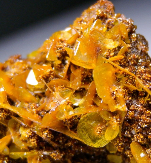 Wulfenite on Descloisite from Los Lamentos, Chihuahua, Mexico [db_pics/pics/lp653d.jpg]