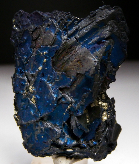 Covellite from Butte, Silver Bow Co., Montana, USA [db_pics/pics/lp699c.jpg]