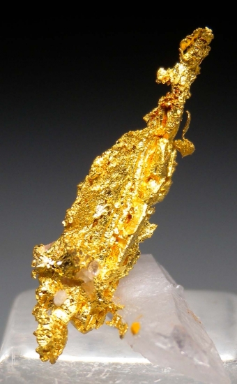 Gold with Quartz from Aouint Ighoumane, Assa-Zag Province, Guelmim-Oued Noun Region, Morocco [db_pics/pics/lp714a.jpg]
