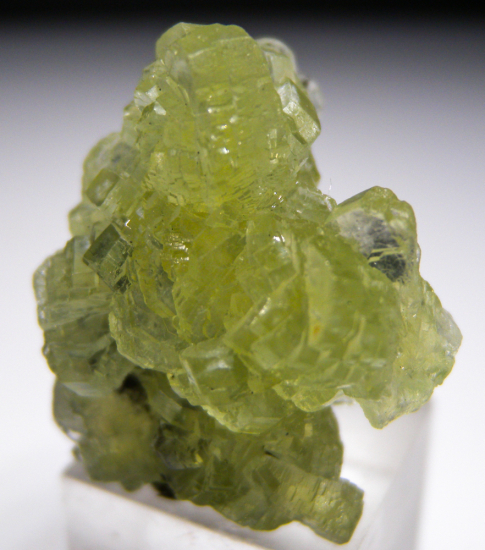 Prehnite from Merelani Hills, Arusha, Tanzania [db_pics/pics/lp750c.jpg]