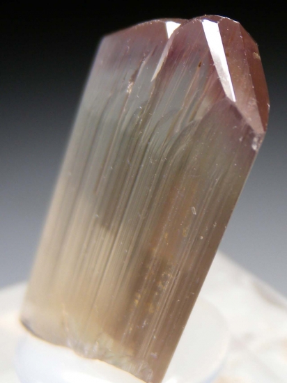 Diaspore from Milas, Mugla Prov., Turkey [db_pics/pics/lp783d.jpg]