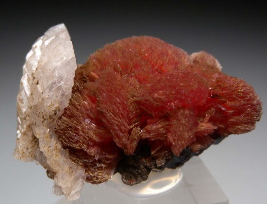 Calcite on Inesite from N'Chwanning Mine, Kuruman, N. Cape Prov., South Africa [db_pics/pics/lp787b.jpg]