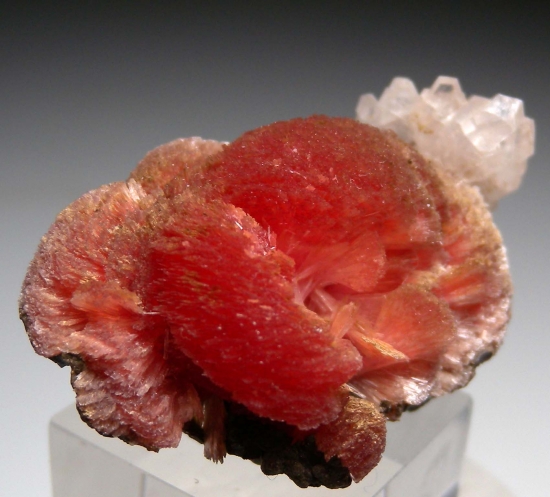 Calcite on Inesite from N'Chwanning Mine, Kuruman, N. Cape Prov., South Africa [db_pics/pics/lp787c.jpg]