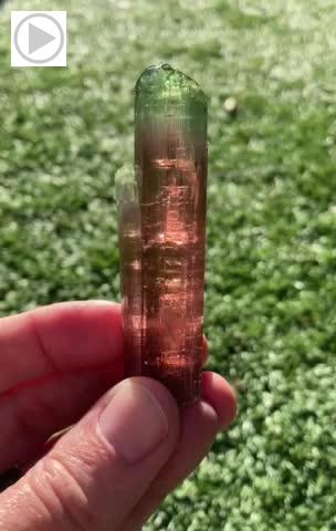 Tourmaline from Rubaya, North Kivu, Dem. Rep. of Congo [db_pics/pics/lp864.mp4]