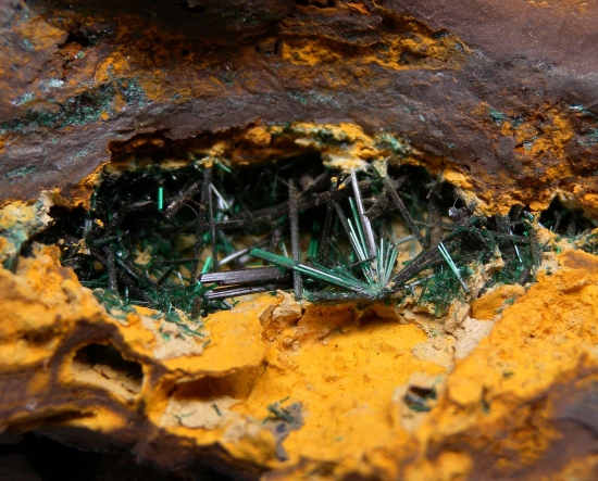 Atacamite from Mount Gunson Copper mines, Stuart Shelf, South Australia, Australia [db_pics/pics/lp904c.jpg]