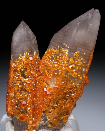 Spessartine on Quartz from Tongbei, Fujian Prov., China [db_pics/pics/lp931b.jpg]