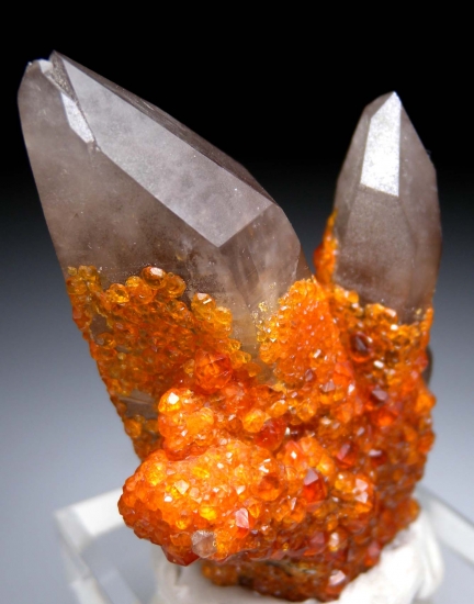 Spessartine on Quartz from Tongbei, Fujian Prov., China [db_pics/pics/lp931c.jpg]