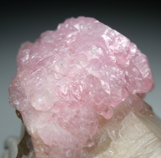 Rose Quartz on Quartz from Taquaral, Itinga, Minas Gerais, Brazil [db_pics/pics/lp936b.jpg]