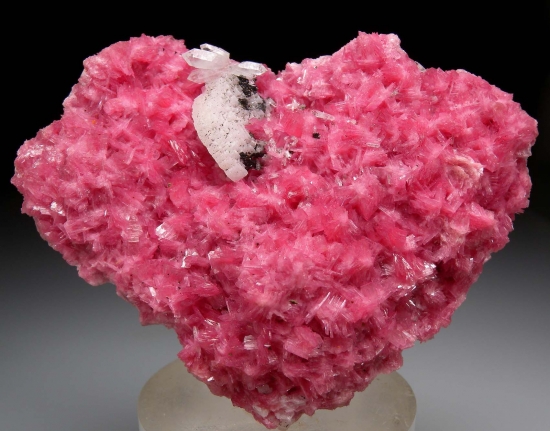 Rhodonite with Calcite, Quartz from San Martin Mine, Chiuruco, Ancash Dept., Peru [db_pics/pics/lp937a.jpg]