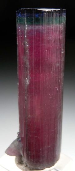 Tourmaline from Burkhard's Pocket, Pederniera Mine, Minas Gerais, Brazil [db_pics/pics/lp949b.jpg]