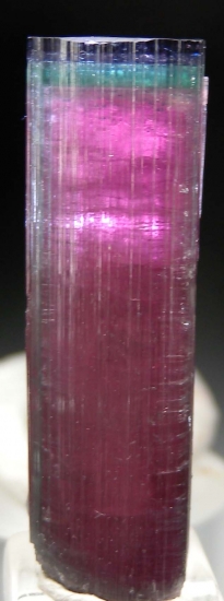 Tourmaline from Burkhard's Pocket, Pederniera Mine, Minas Gerais, Brazil [db_pics/pics/lp949c.jpg]