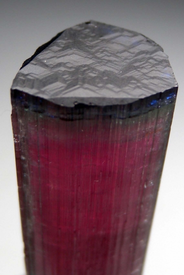 Tourmaline from Burkhard's Pocket, Pederniera Mine, Minas Gerais, Brazil [db_pics/pics/lp949d.jpg]
