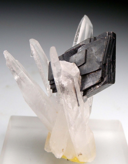 Hubnerite on Quartz from Mundo Nuevo Mine, La Libertad, Peru [db_pics/pics/lp950a.jpg]