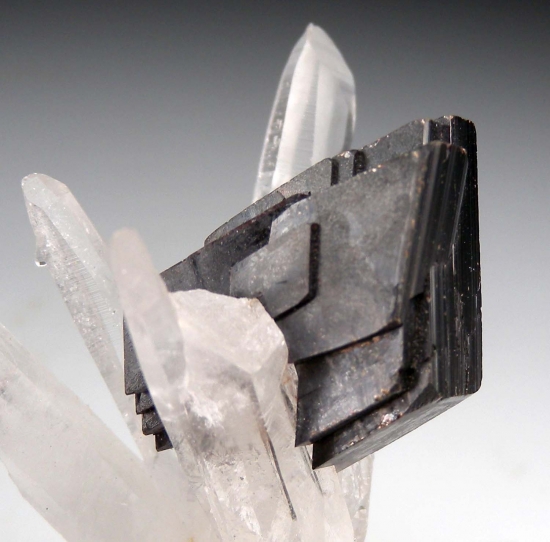 Hubnerite on Quartz from Mundo Nuevo Mine, La Libertad, Peru [db_pics/pics/lp950c.jpg]