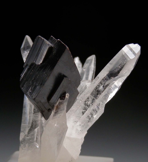 Hubnerite on Quartz from Mundo Nuevo Mine, La Libertad, Peru [db_pics/pics/lp950d.jpg]