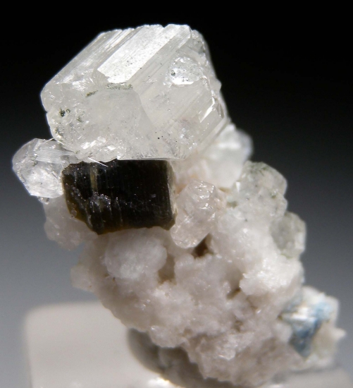 Phenakite from Mt. Antero, Chaffee Co., Colorado, USA [db_pics/pics/lp952a.jpg]