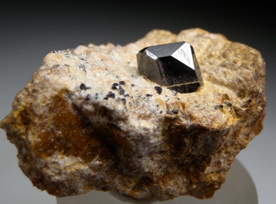 Rutile from Champion Mine, Mono Co., California, USA [db_pics/pics/lp954d.jpg]