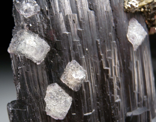 Siderite, Fluorite, Pyrite on Ferberite from Panasquiera, Portugal [db_pics/pics/lp956c.jpg]
