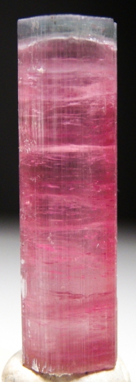 Tourmaline from Pala, San Diego Co., California, USA [db_pics/pics/lp974b.jpg]