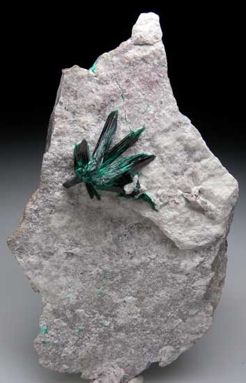 Brochantite from Milpillas Mine, Cuitaca, Sonora, Mexico [db_pics/pics/m111a.jpg]