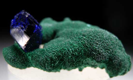 Azurite on Malachite from Milpillas Mine, Cuitaca, Sonora, Mexico [db_pics/pics/m138b.jpg]