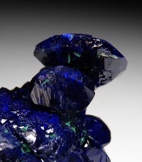 Azurite with Malachite from Milpillas Mine, Cuitaca, Sonora, Mexico [db_pics/pics/m139c.jpg]