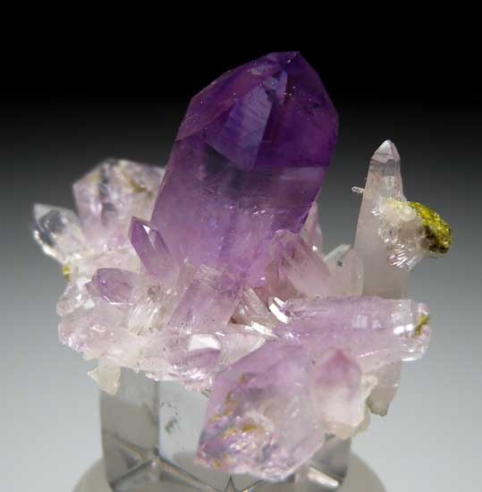Amethyst from Las Vigas, Vera Cruz, Mexico [db_pics/pics/m154b.jpg]