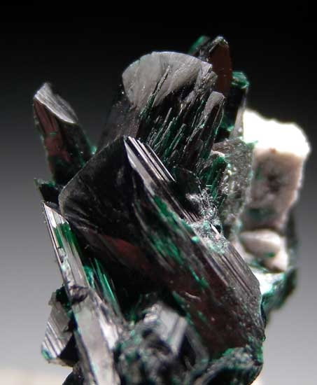 Brochantite from Milpillas Mine, Cuitaca, Sonora, Mexico [db_pics/pics/m163c.jpg]