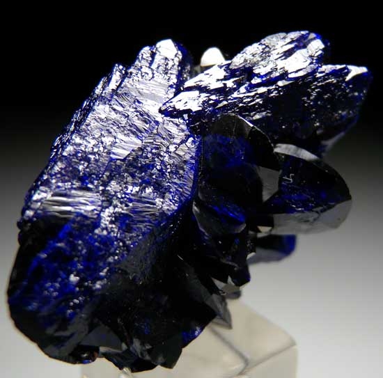 Azurite from Milpillas Mine, Cuitaca, Sonora, Mexico [db_pics/pics/m169b.jpg]