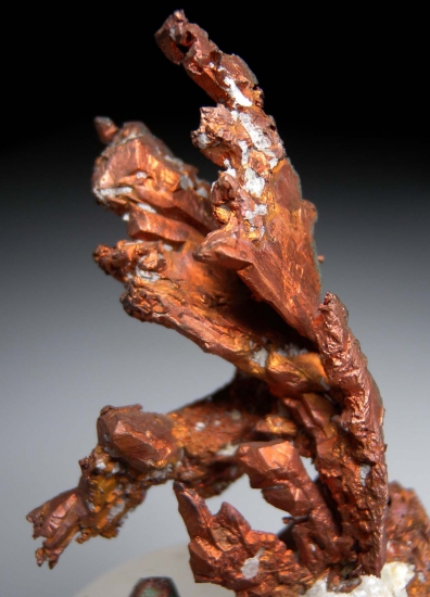 Copper from Mantos de Cuba Mine, Inca de Oro, Atacama, Chile [db_pics/pics/m385g.jpg]