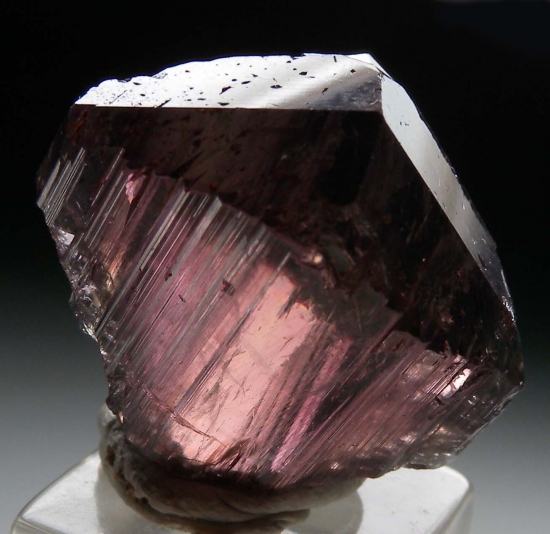 Diaspore from Milas, Mugla Prov., Turkey [db_pics/pics/m609f.jpg]