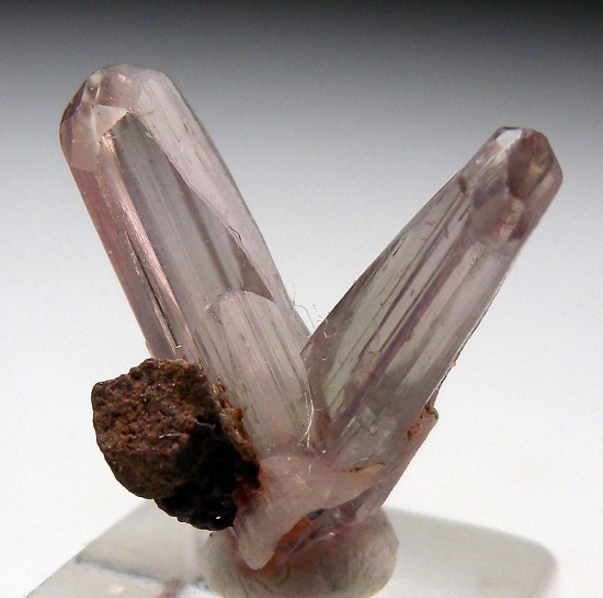 Diaspore from Milas, Mugla Prov., Turkey [db_pics/pics/m640a.jpg]