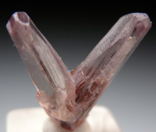 Diaspore from Milas, Mugla Prov., Turkey [db_pics/pics/m640b.jpg]