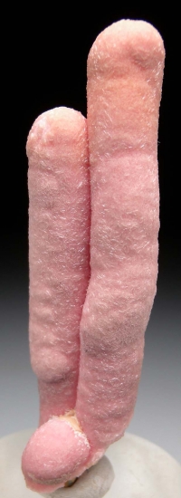 Rhodochrosite from Catamarca, Argentina [db_pics/pics/mk132a.jpg]