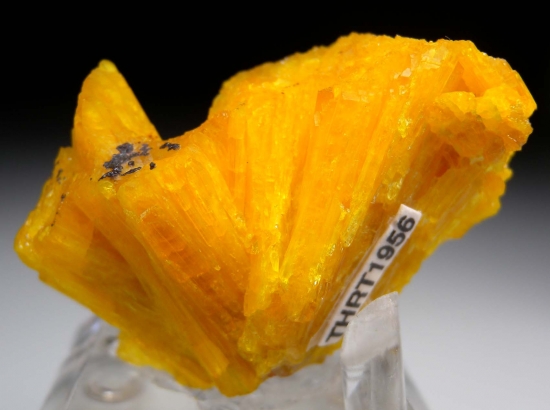 Legrandite from Aztec Sun Pocket, Mina Ojuela, Mapimi, Durango, Mexico [db_pics/pics/mk133b.jpg]