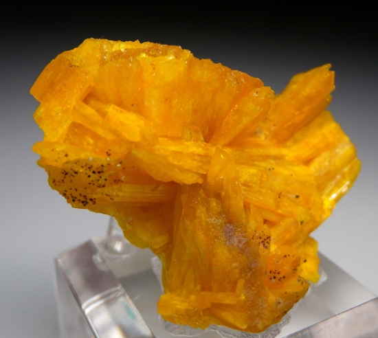 Legrandite from Aztec Sun Pocket, Mina Ojuela, Mapimi, Durango, Mexico [db_pics/pics/mk133d.jpg]