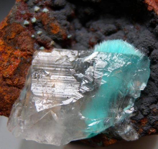 Calcite over Aurichalcite from Ojuela Mine, Mapimi, Durango, Mexico [db_pics/pics/mk177c.jpg]