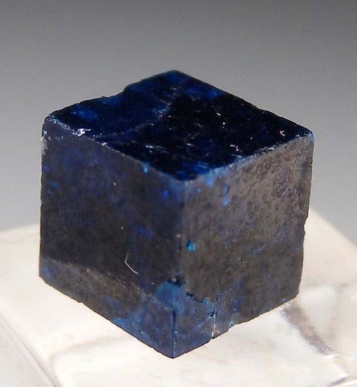 Boleite from Manto 3, Curuglu Mine, Boleo District, Santa Rosalia, Baja, Mexico [db_pics/pics/mk191b.jpg]