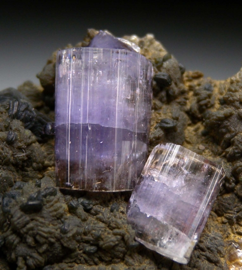 Apatite on Muscovite from Panasquiera, Castelo Branco, Portugal [db_pics/pics/mk209b.jpg]