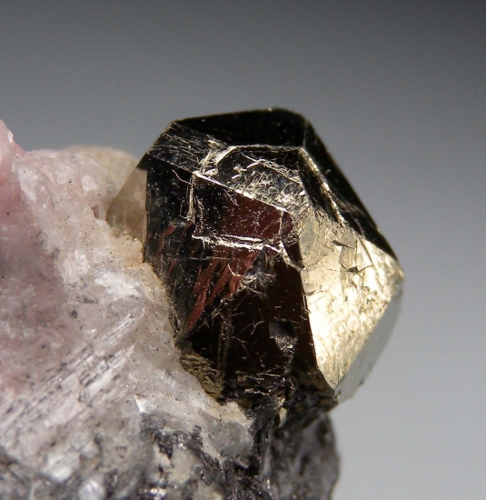 Pyrite from Merelani Hills, Arusha, Tanzania [db_pics/pics/mk211d.jpg]