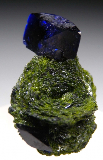 Azurite on Volborthite from Milpillas Mine, Cuitaca, Sonora, Mexico [db_pics/pics/mk213a.jpg]
