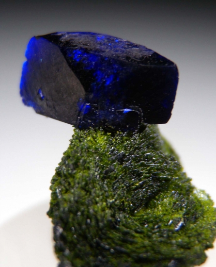 Azurite on Volborthite from Milpillas Mine, Cuitaca, Sonora, Mexico [db_pics/pics/mk213c.jpg]