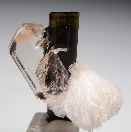 Topaz on Tourmaline from Stak Nala, Skardu, Pakistan [db_pics/pics/mk221a.jpg]