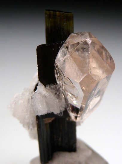 Topaz on Tourmaline from Stak Nala, Skardu, Pakistan [db_pics/pics/mk221c.jpg]