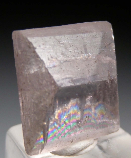 Anhydrite from Leopoldshall, Stassfurt, Saxony, Germany [db_pics/pics/mk243b.jpg]