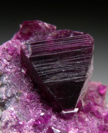 Clinochlore var. Kammererite from Kop Krom Mine, Kop Daglari, Erzurum Province, Turkey [db_pics/pics/mk247b.jpg]