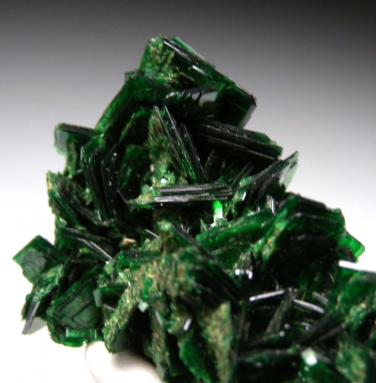Torbernite from Musonoi Mine, Kolwezi, DR Congo [db_pics/pics/mk250b.jpg]