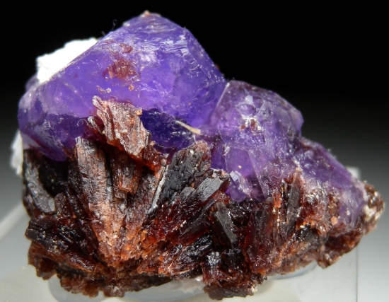 Coquimbite on Romerite from South Olga Tunnel, Monte Arsiccio Mine, Stazzema, Lucca Province, Tuscany, Italy [db_pics/pics/mk271a.jpg]